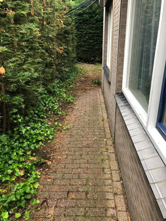 Knus Appartement Aan De Kust Strand Zee Havens Yerseke Eksteriør billede